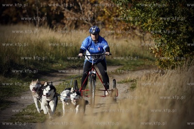 Gdańsk. Park Reagana. Pucharu Polski Psich Zaprzęgów...