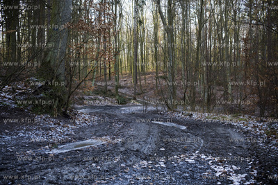 Trójmiejski Park Krajobrazowy. Szlak niebieski ( odcinek...