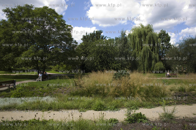 Gdańsk Wrzeszcz. Park nad Strzyżą. 07.08.2017 fot....