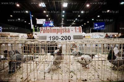 Gdansk. Gdansk. Amber Expo. 8. Miedzynarodowe Targi...