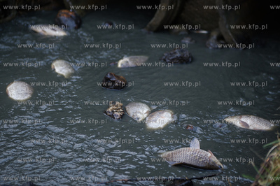 Gdansk. Pracowinicy Gdanskich melioracji oproznili...