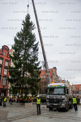 Gdansk. Dlugi Targ. Operacja stawiania swiatecznej...