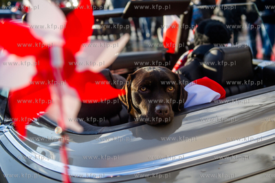 Sopot. Parada zabytkowych wozów strażackich i zabytkowych...