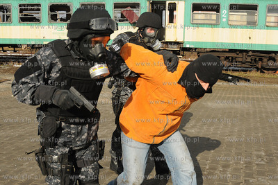 Wspolne cwiczenia antyterorystow, policji, strazy granicznej...