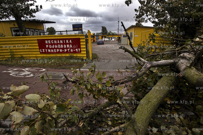 Sztormowa pogoda w Gdansku. Powalone drzewo przez wiatr...