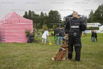 Swieto Miodu Pszczolkowskiego w Parku Lipowym w Pszczolkach...