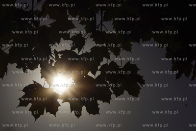 Jesień. 17.10.2018 fot. Paweł Marcinko / KFP