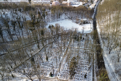 Cmentarz komunalny Salvator Nowy przy ulicy Cmentarnej...
