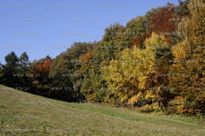 Sopot. Lysa Gora.
14.10.2013
fot. Krzysztof Mystkowski...