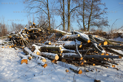 Wislinka. Miejsce, wktorym wykopywano bursztyn.
24.01.2014
fot....