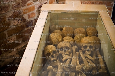 Krypta Biskupów w Katedrze Oliwskiej.
03.11.2016
fot....