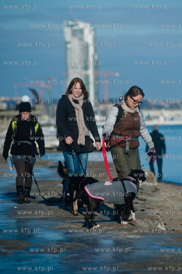 Gdynia. Polanka Redlowska. Pomorski Puchar Dogtrekkingu.
08.02.2014
fot....