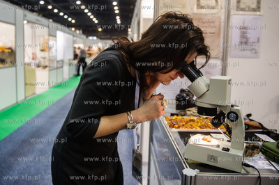 Miedzynarodowe Targi Gdanskie Amber Expo. Amberif -...