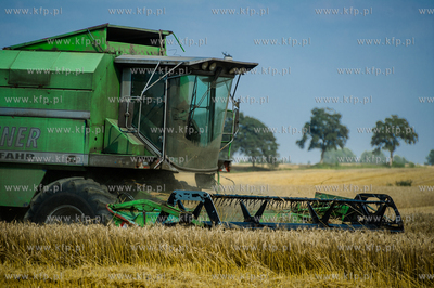 Powiat Koscierski. Kombajn podczas zniw. 
04.08.2015
fot....