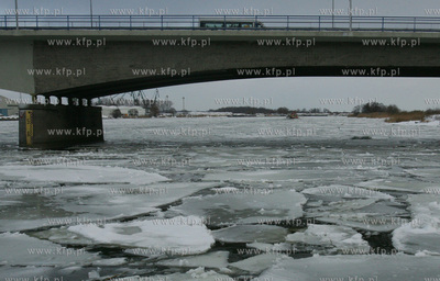 Szczecin. Wspolna akcja polskich ( Dzik, Lis, Zbik,...