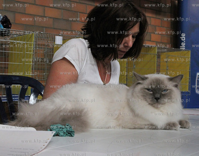 Dwunasta Miedzynarodowa Wystawa Kotow Rasowych Sopot...