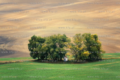 Morawy. Okolice miejscowosci Kijev. Nz. przydrozna...