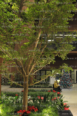 Europejskie Centrum Solidarnosci. Gdansk. Swiateczny...