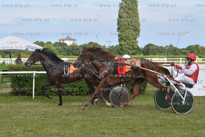Wyscigi konne na sopockim Hipodromie. 17.07.2016 fot....