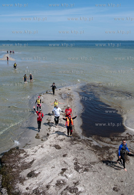 Marsz Sledzia odbywa sie Rybitwia Mielizna (Rewa Mew)...