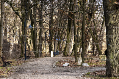 Park w Wojanowie w gminie wiejskiej Pruszcz Gdański....