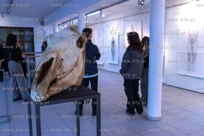 Wernisaż wystawy Jacka Kornackiego "Ślady i znaki...