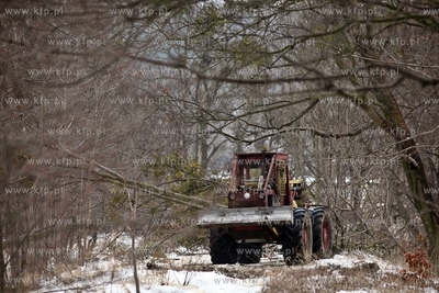 Wycinka drzew pod budowe trasy Pomorskiejpomorks Kolei...