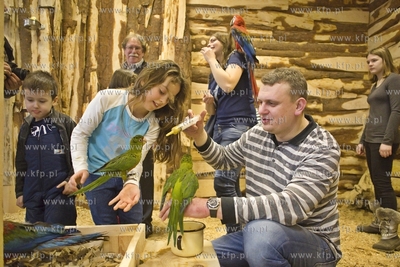 Nowa Papugarnia w Gdańsku Suchaninie.
29.12.2016
fot....