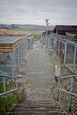 Gdansk. Schronisko dla bezdomych zwierzat Promyk. Akcja...