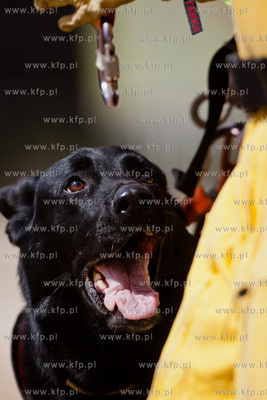 Gdansk Oliwa. Jednostka Strazy Pozarnej przy ul. Beniowskiego....