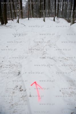 Powiat Bytowski. Lasy panstwowe. Wycinka drzew.
19.01.2010
fot....