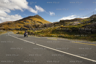 Irlandia poludniowa,hrabstwo Kerry, Killarney.  Park...