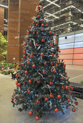 Europejskie Centrum Solidarnosci. Gdansk. Swiateczny...