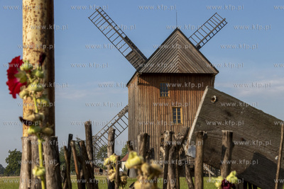 Wiatrak typu paltrak, wybudowany w 1903 roku stojący...