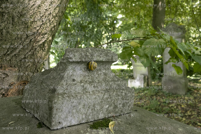 Cmentarz mennonicki z II połowy XVIII wieku w Stawcu...