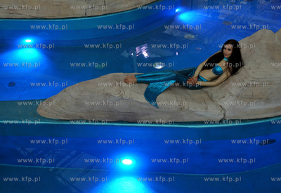 Otwarcie Aquaparku Reda w Redzie. Atrakcją jest akwarium,...