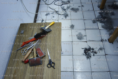 Gdansk Zaspa. Zaklad strzyzenia psow. Nz strzyzenie...