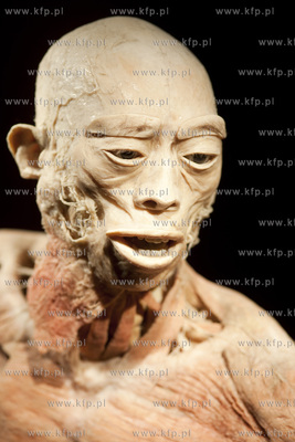 Wystawa o ciele ludzkim Human Body.
30.04.2013
fot....