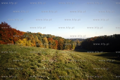 Sopot. Lysa Gora.
14.10.2013
fot. Krzysztof Mystkowski...