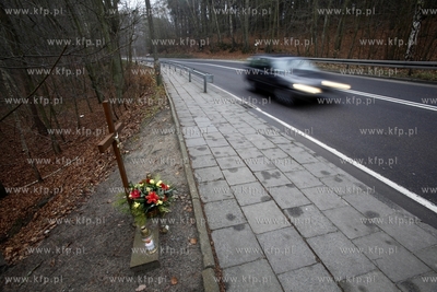 Niebezpieczny zakret przy ul. Malczewskiego w Sopocie.
30.12.2013
fot....