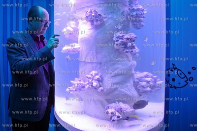 Centrum Hewelianum. Otwarcie Laboratorium Pana Kleksa....