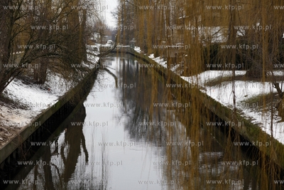Rusza przebudowa kanalu Raduni w Pruszczu Gdanskim.
23.01.2015
fot....