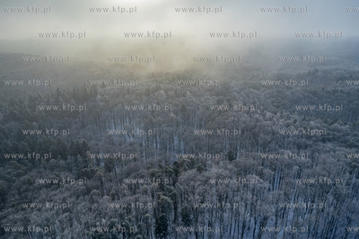 Zima w Sopocie. Nz. Łysa Góra.
08.01.2026
fot....