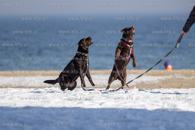 Przedwiośnie w Sopocie. 28.02.2026 / fot. Anna Rezulak...