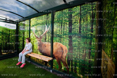 Gdansk. Wiata przystanku autobusowego Dworzec Glowny...