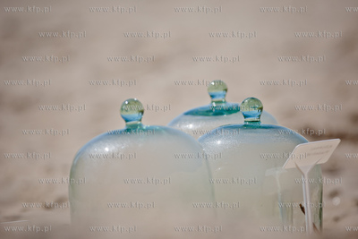 Gdansk. Wyspa Sobieszewoska. Teren Stacji Badawczej...