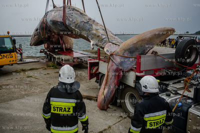 Port Wojenny na Helu. Akcja podnoszenia i transportu,...