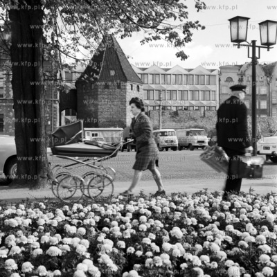 Jesienny Targ Weglowy w Gdansku. 
03.10.1971
pazdziernik1971_z.kosycarz_p3
Fot....