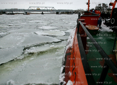 Szczecin. Wspolna akcja polskich ( Dzik, Lis, Zbik,...