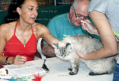 Miedzynarodowa Wystawa Kotor Rasowych w Sopocie.
04.08.2013...